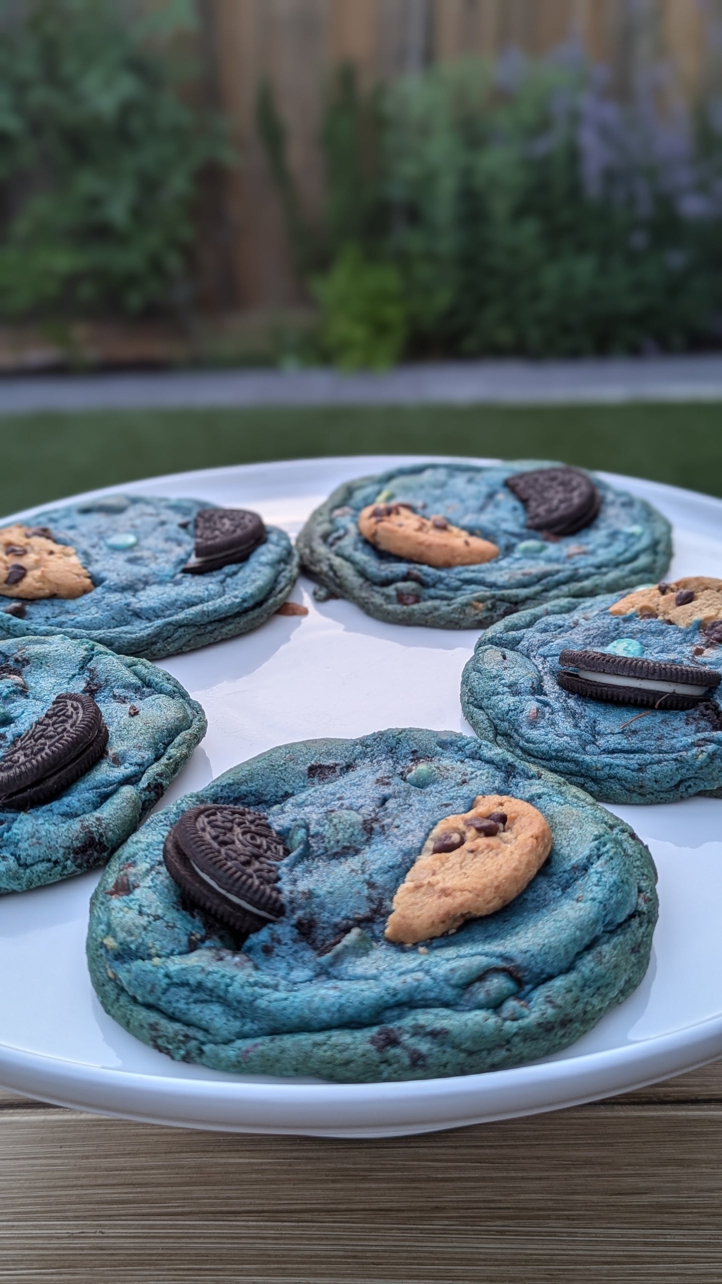 Monster Cookie