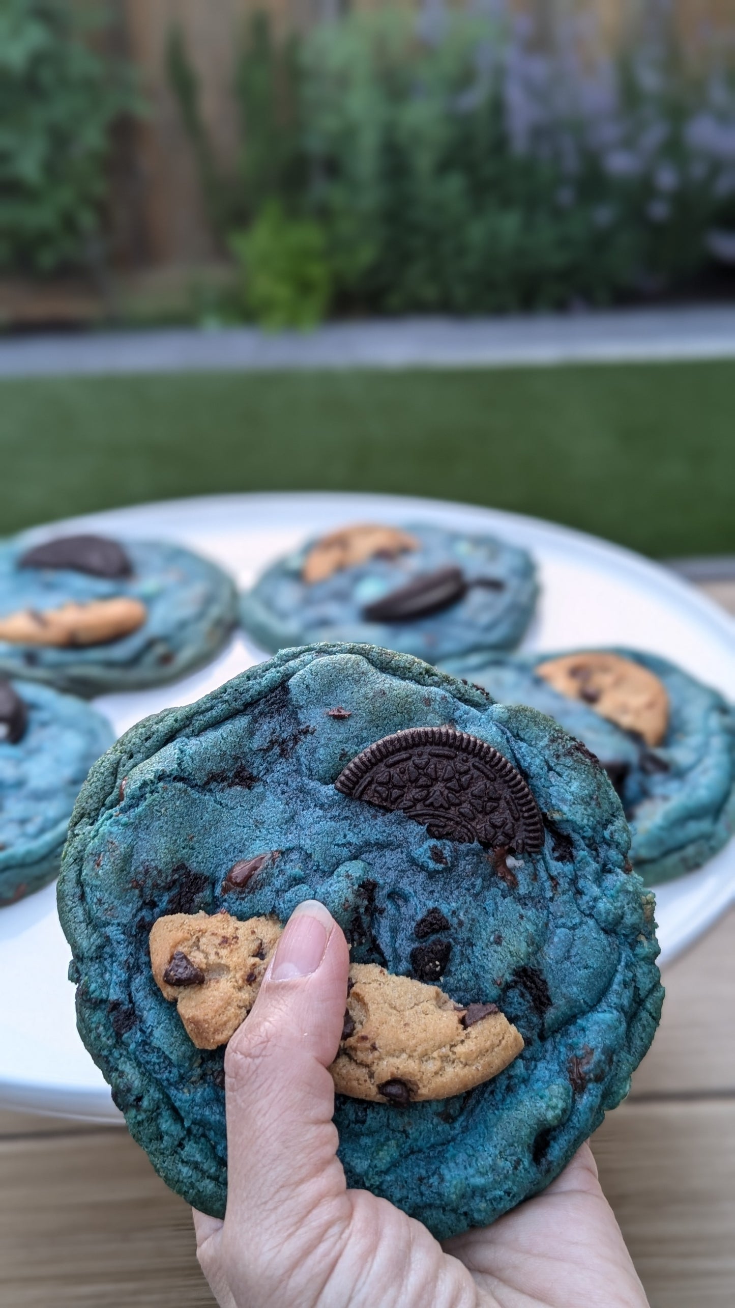 Monster Cookie