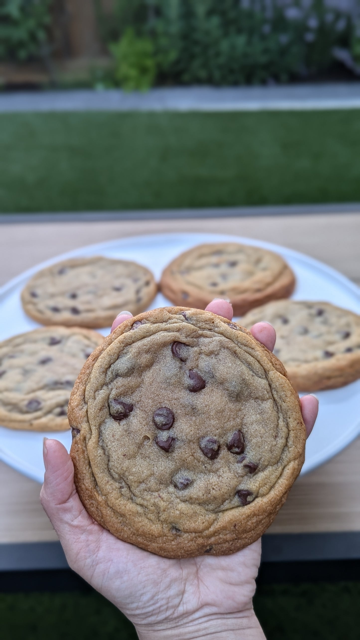 Chocolate Chip Cookie