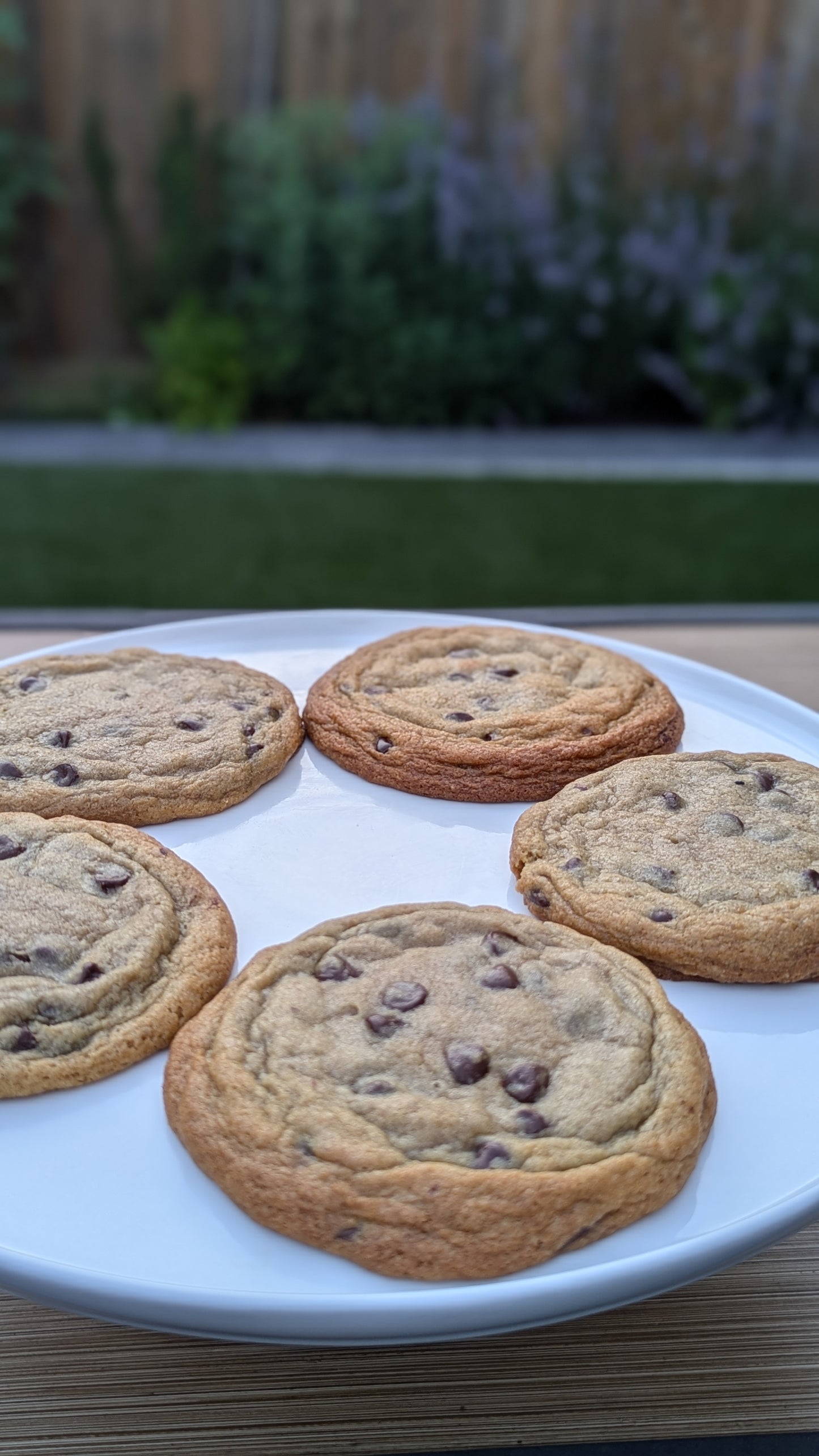 Chocolate Chip Cookie